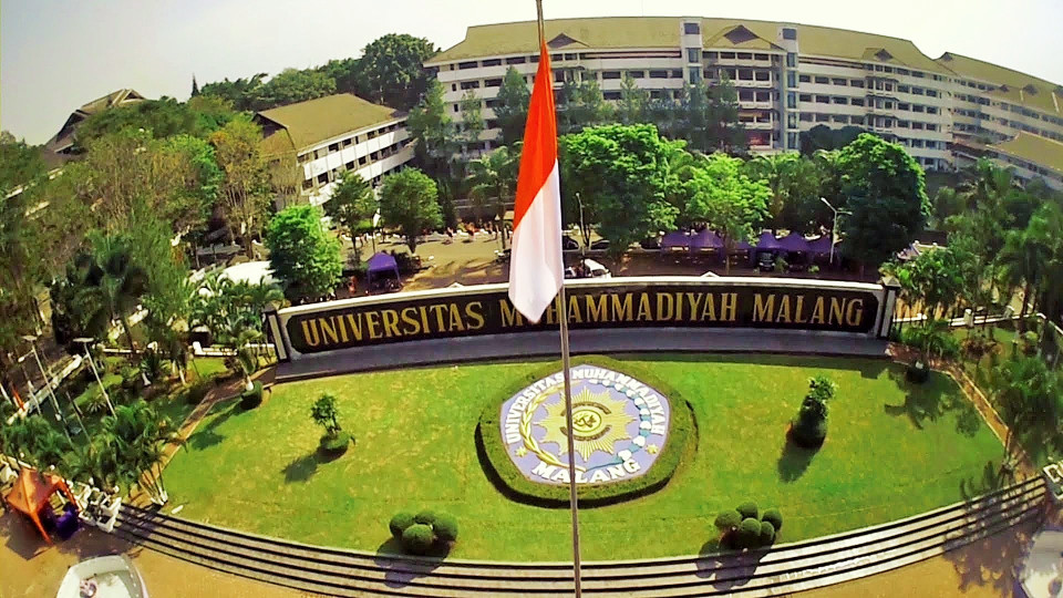The Largest Study Programs of Muhammadiyah Universities