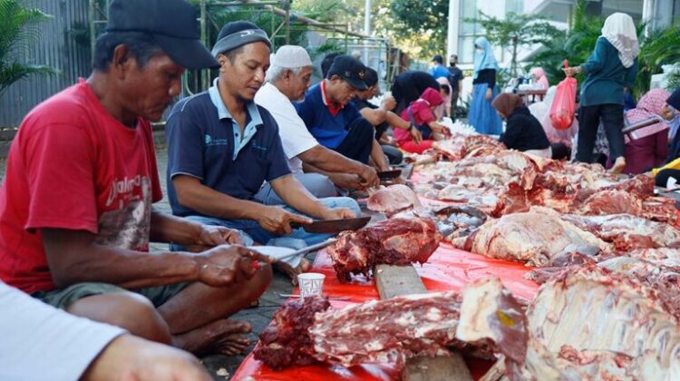 UMPO Distributed 2.100 Sacrificial Meats To Communities